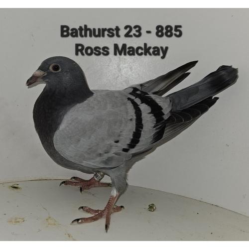 Bath-23-885 Ross Mackay